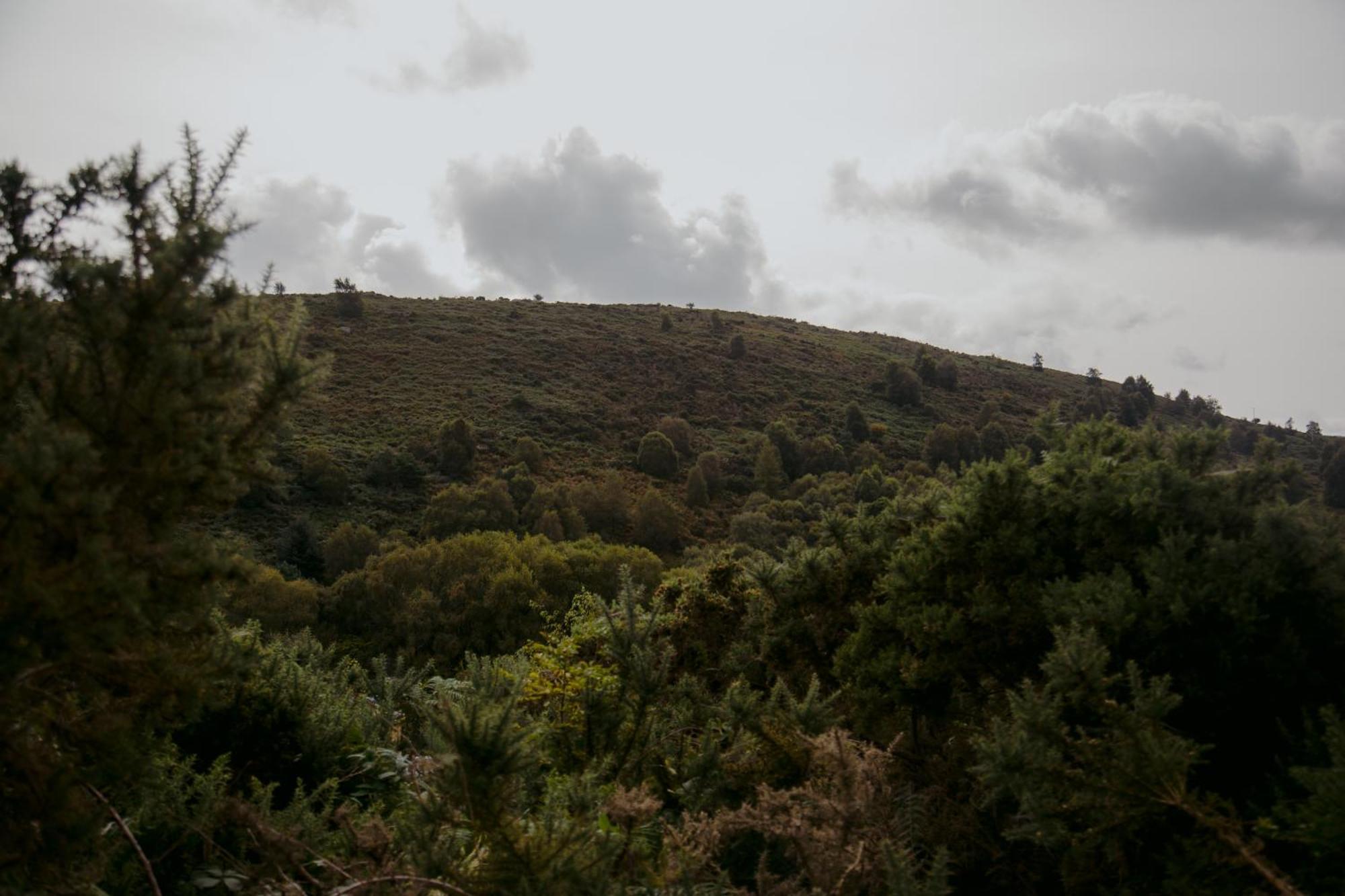 The Deerstone Luxury Eco Hideaway Villa Laragh Exterior photo